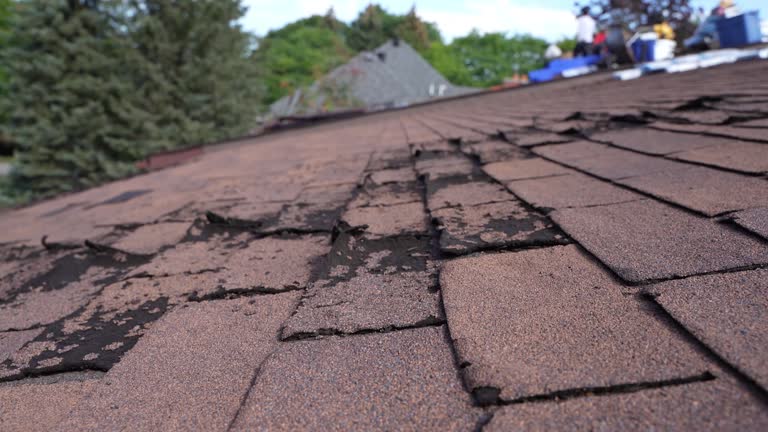 Best Sheet Metal Roofing  in Matheny, CA