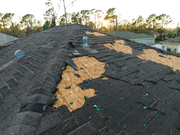 Best Asphalt Shingle Roofing  in Matheny, CA